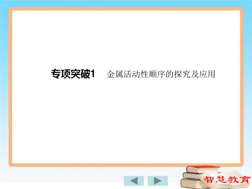 专项突破1 金属活动性顺序的探究及应用