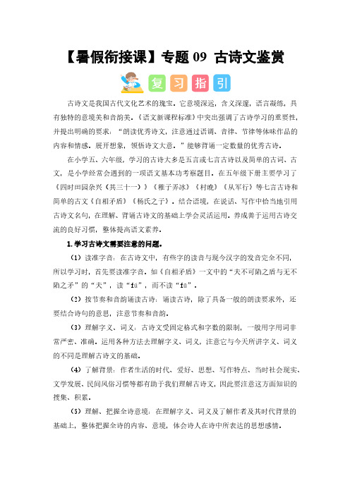 专题09 古诗文鉴赏(讲义+试题) 2023年五升六语文暑假衔接课(统编版)(一)