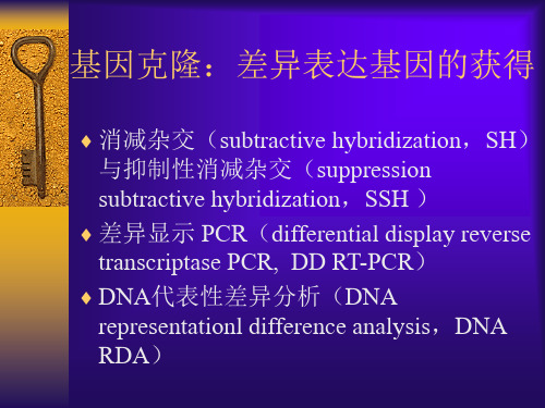 基因克隆：差异表达基因的获得