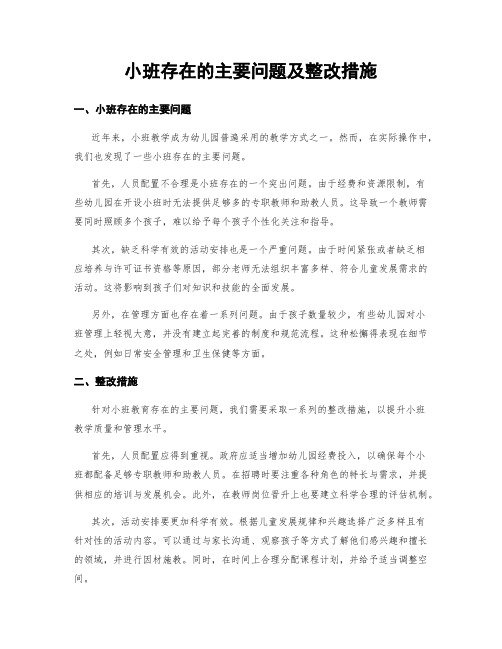 小班存在的主要问题及整改措施