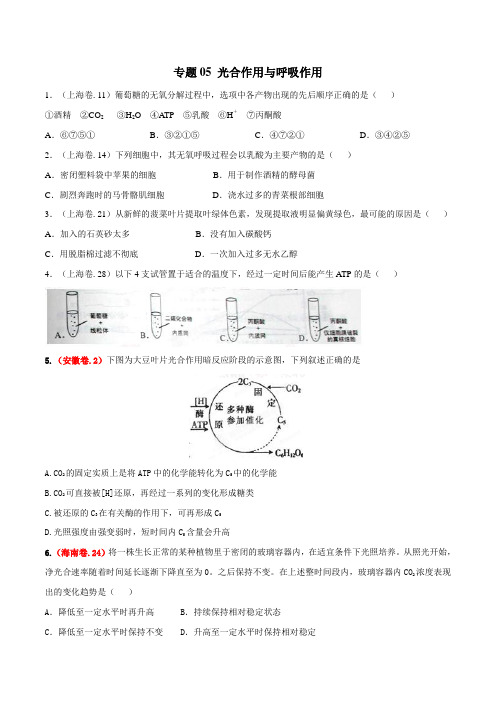 2015年高考生物试题分类汇编专题05 光合作用与呼吸作用