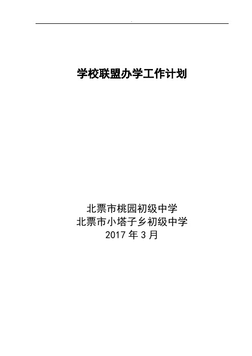 学校联盟2017年工作计划精选范文