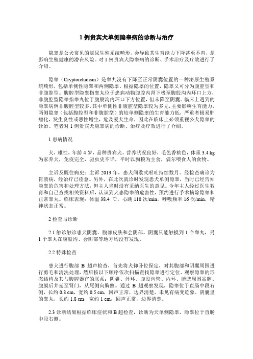 1例贵宾犬单侧隐睾病的诊断与治疗