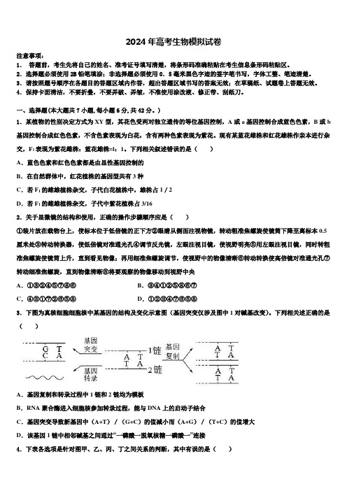 宁夏银川市宁夏大学附属中学2024年高考考前提分生物仿真卷含解析