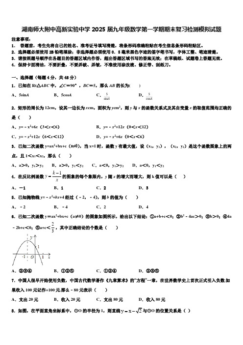 湖南师大附中高新实验中学2025届九年级数学第一学期期末复习检测模拟试题含解析