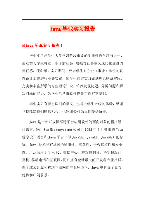 java毕业实习报告