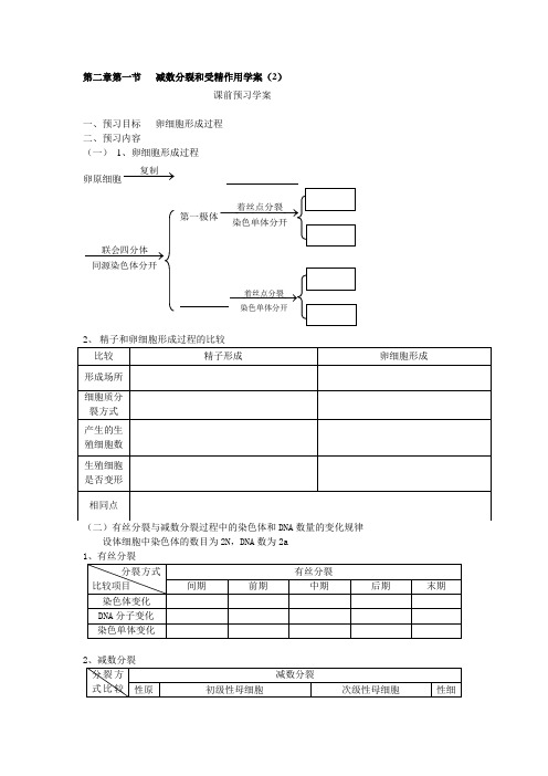 必修二第二章第1节《减数分裂》导学案2