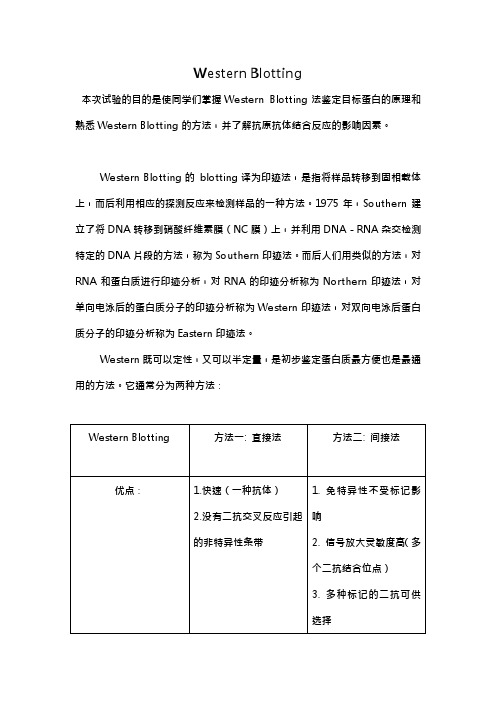 完整word版,Western-Blotting实验报告