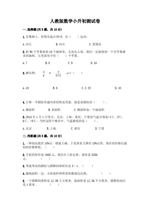 人教版数学小升初测试卷及参考答案【综合卷】