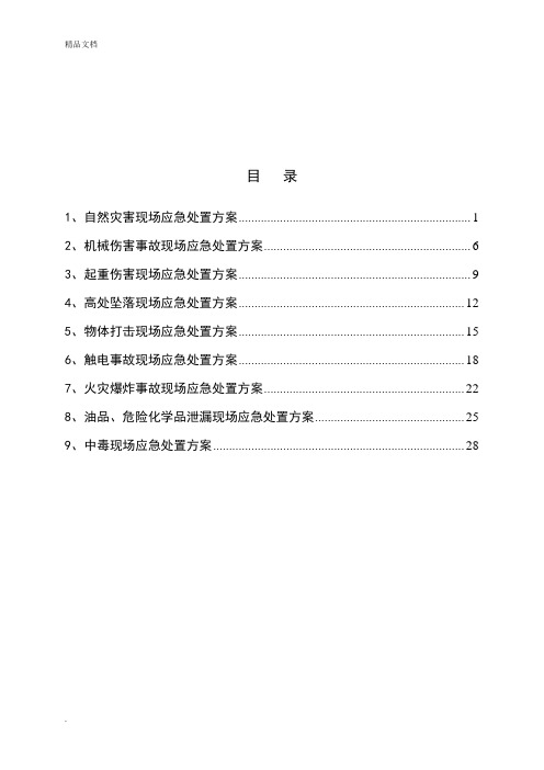 选矿厂现场应急处置方案(安全标准化)