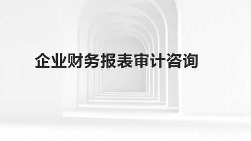 企业财务报表审计咨询