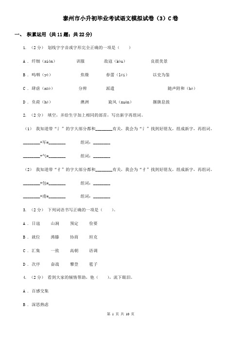 泰州市小升初毕业考试语文模拟试卷(3)C卷