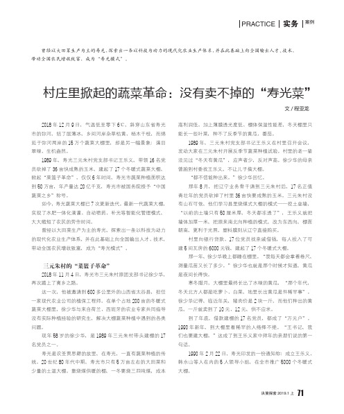 村庄里掀起的蔬菜革命:没有卖不掉的“寿光菜”
