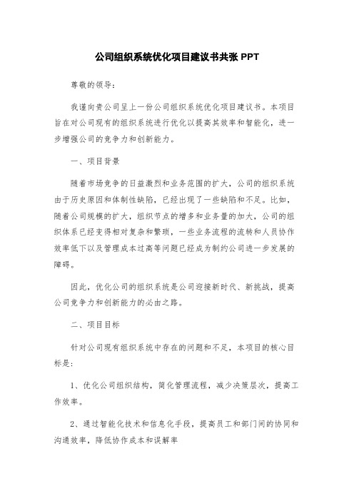 公司组织系统优化项目建议书共张PPT