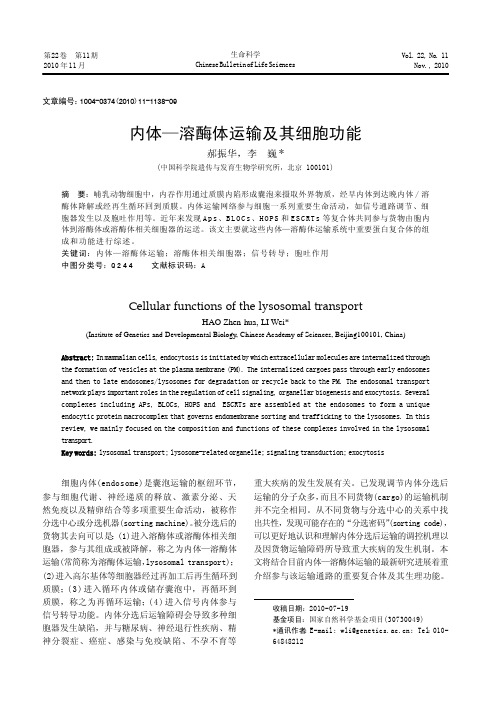 内体—溶酶体运输及其细胞功能