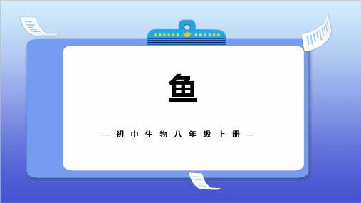 最新人教版初中八年级生物上册《鱼》教学课件