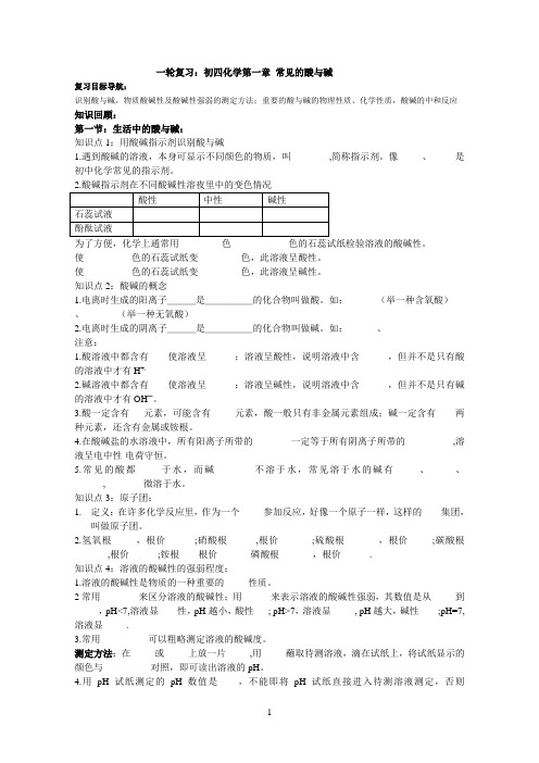 一轮复习：初四化学第一章 常见的酸与碱导学提纲