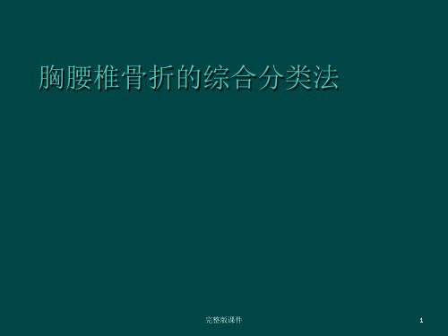 胸腰椎骨折的综合分类法ppt课件