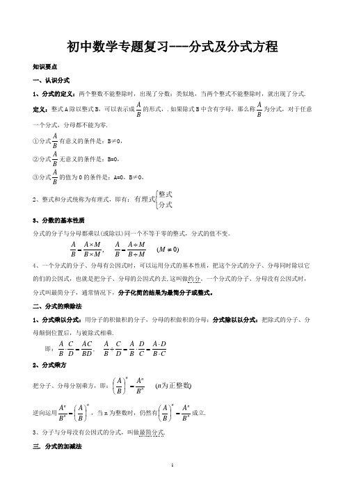 A5初中数学专题复习---分式及分式方程