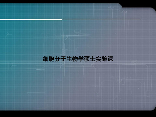 细胞分子生物学硕士实验课优选演示