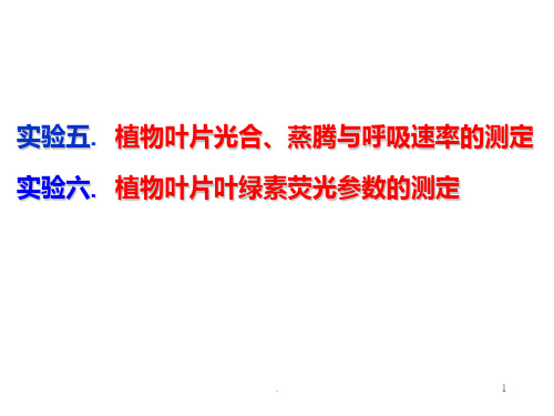 植物生理学实验-光合、呼吸速率、荧光参数测定