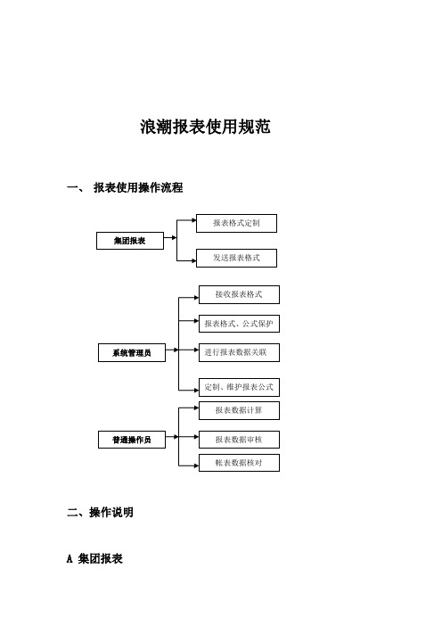 规范浪潮规范浪潮报表使用