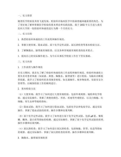 检验科体液组实习报告