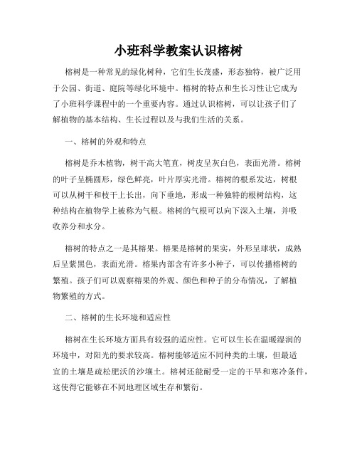 小班科学教案认识榕树