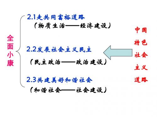 初2015级《2.2发展社会主义民主》