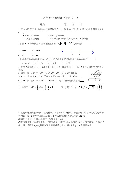 2023-2024学年北师大版八年级上册数学寒假作业三+