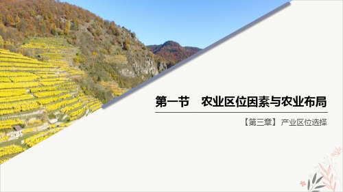 农业区位因素与农业布局产业区位选择精品PPT课件