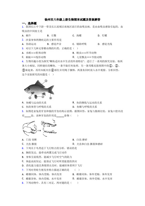 徐州市八年级上册生物期末试题及答案解答