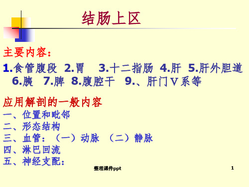 《结肠上区》PPT课件