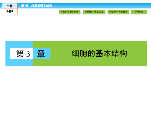 人教版高中生物必修一课件 第三章 细胞的基本结构 3.1《细胞膜——系统的边界