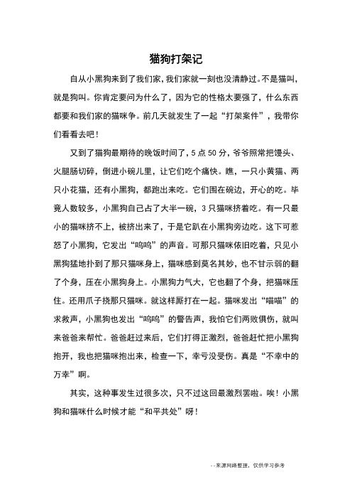 猫狗打架记_小学三四年级记事