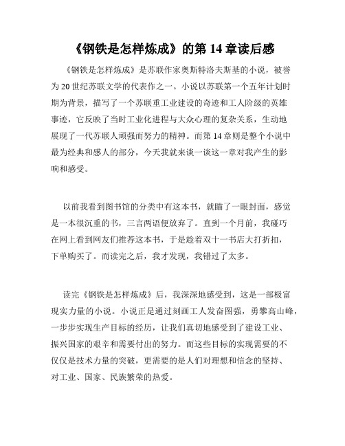 《钢铁是怎样炼成》的第14章读后感