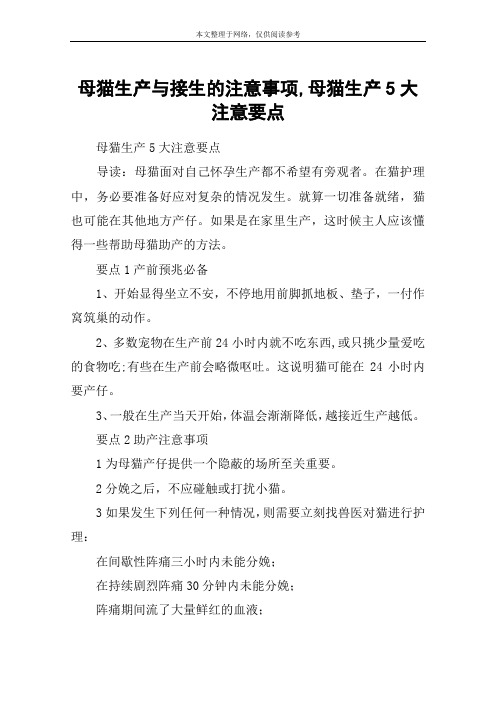 母猫生产与接生的注意事项,母猫生产5大注意要点