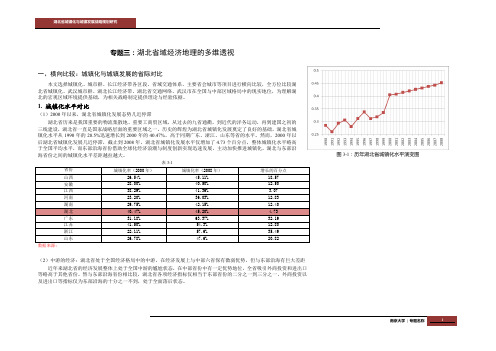 湖北省城镇化与城镇发展战略规划研究-经济地理专题