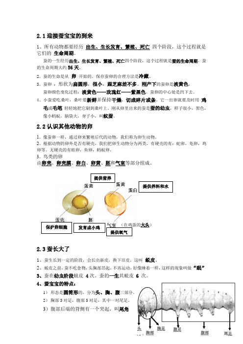 教科版小学科学新版三年级下册科学第二单元知识点