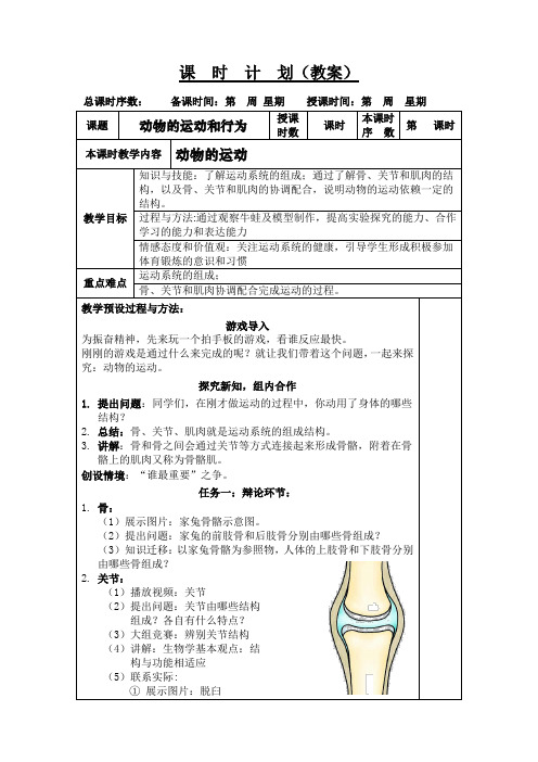 动物的运动教案人教版生物八年级上册