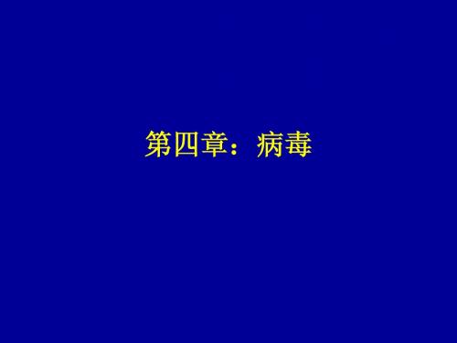 第四章：病毒