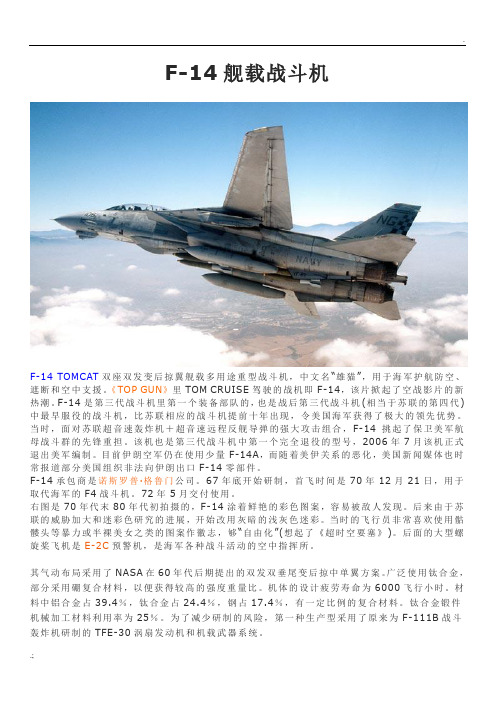 F-14战斗机