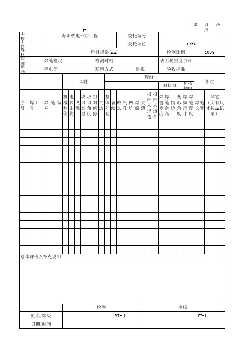 目视检测记录表