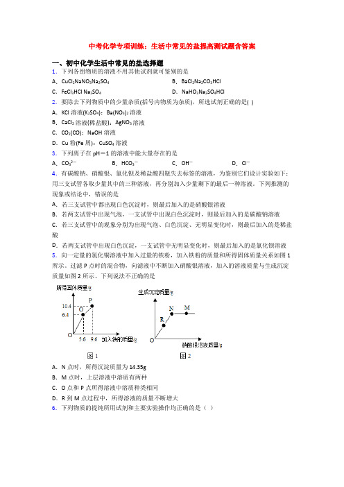 中考化学专项训练：生活中常见的盐提高测试题含答案