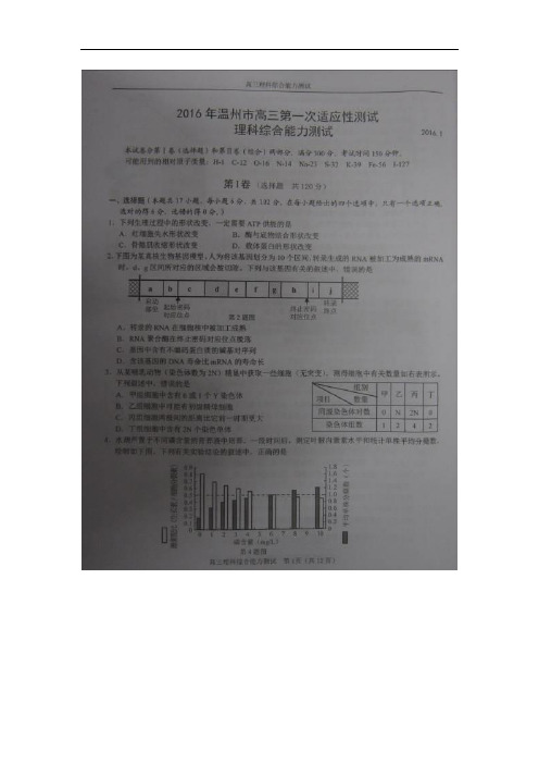 浙江省温州市2016届高三第一次适应性测试(一模)理科综合试题(图片版)