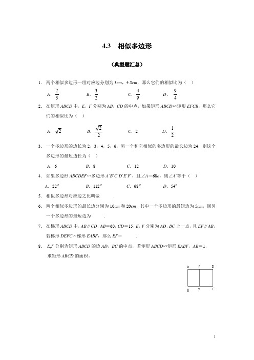 北师大版九年级数学上册第四章《图形的相似》相似多边形同步练习及答案 (2)