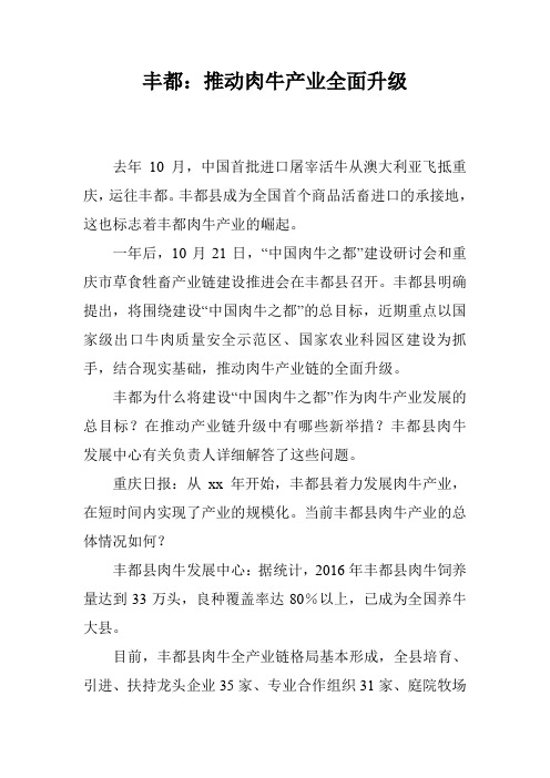 丰都：推动肉牛产业全面升级