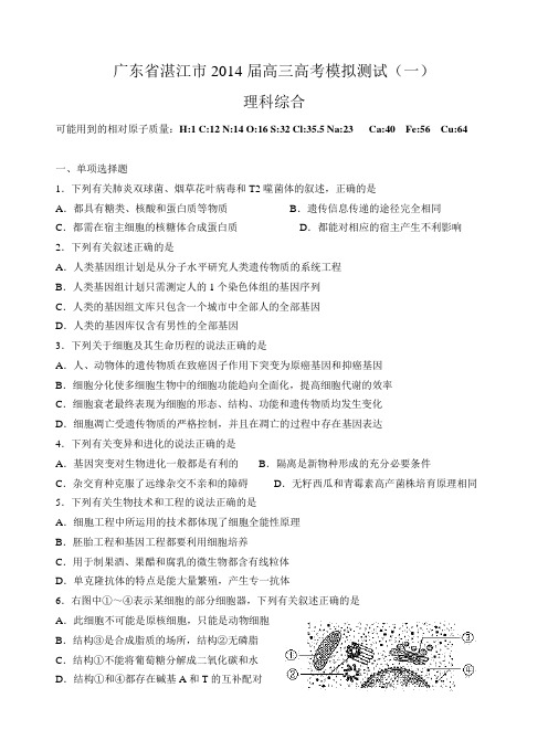 广东省湛江市高三高考模拟测试理综