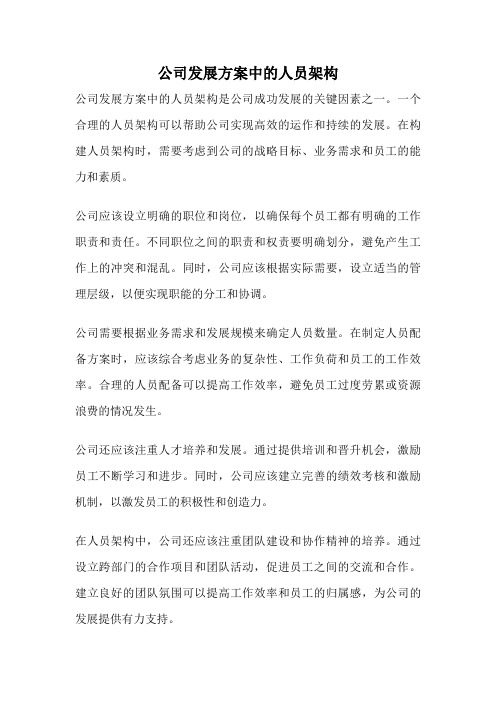 公司发展方案中的人员架构