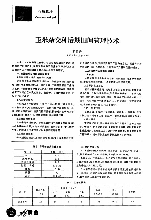 玉米杂交种后期田间管理技术